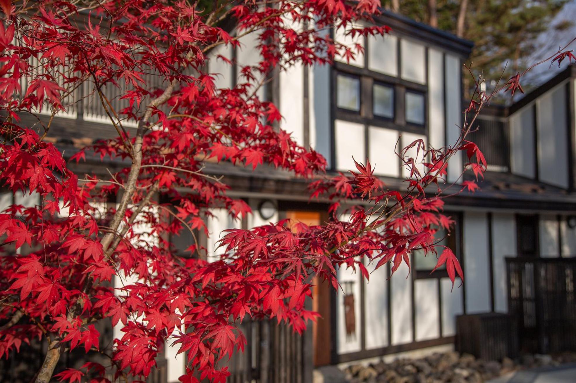 Glamping Villa Hanz Kawaguchiko Fudžikawagučiko Exteriér fotografie